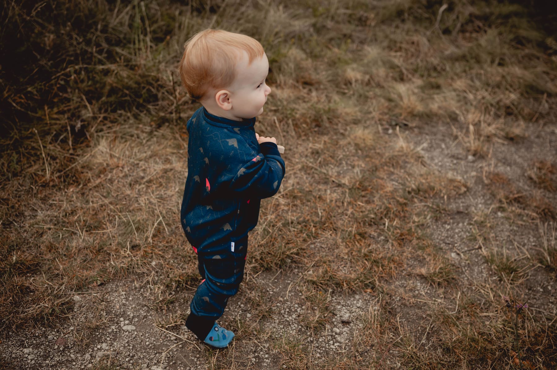 Merino Strampler – Blaue Berge